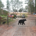 Bear driveway gate