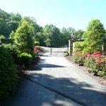 Automatic Iron Driveway Gate