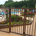 Swimming Pool Gates